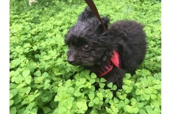 緑区のパンケーキ食べてきました！