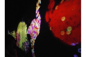 名古屋市科学館-チームラボ-