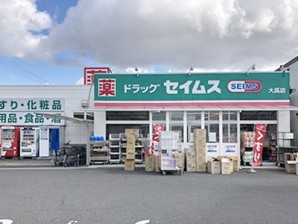 ドラックセイムス